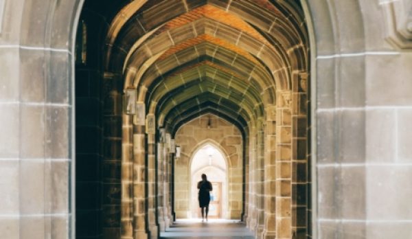 New Project (6) New Project (6)