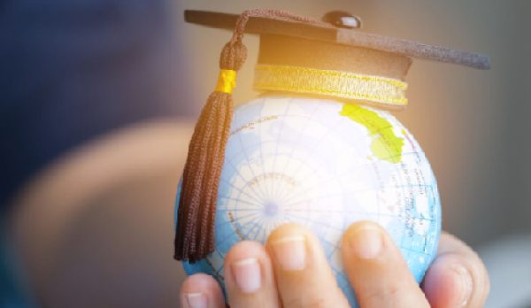 New Project (9) New Project (9)